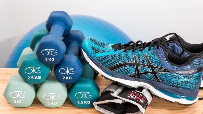 dumbbells-2465478_1280 Workouts pro Woche