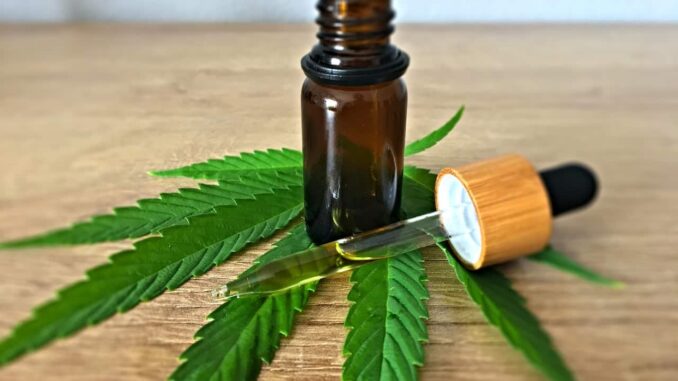 cbd-infos CBD Infos