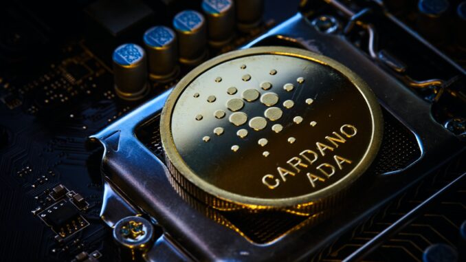 cardano Cardano