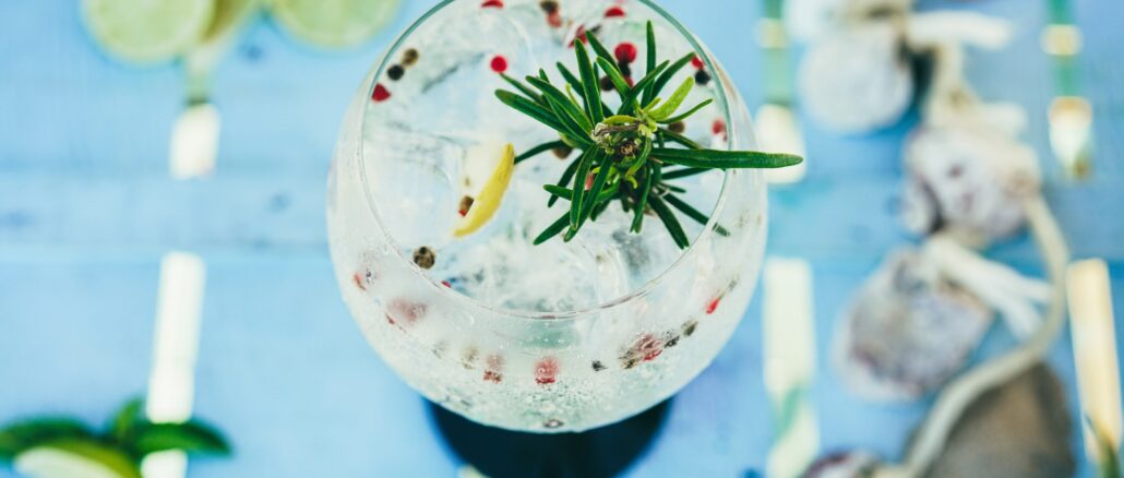 Gin Gläser