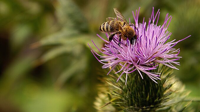 g74baefc51633583bee6bb29604973fa75a49a2be70ce1fe27e05fedd2a4f5fee0b2d59d08cf591be2fd00002f26eff9c_1280