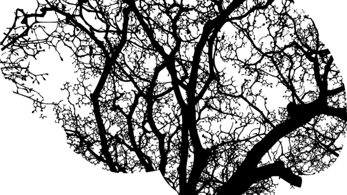 g8dd3ff4e0e8ac857750fc39a126dbbe3787ab4cdf3082a10e44a27d733de28da6fd41de2febea94b99a361f9d909bcf433a98df61535337f88ca8b7071f2c046_1280