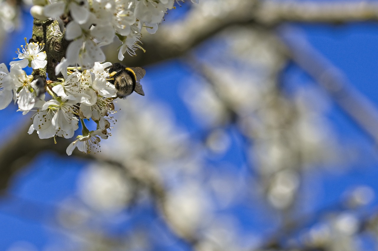 Was ist eine Hostie? Magazin WISSEN