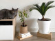 Katzengerechte Wohnungsgestaltung