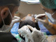 Haartransplantation