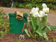 Gartenarbeit