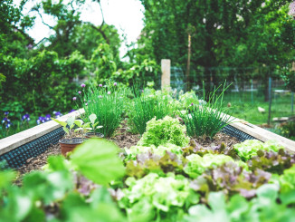 Gartenpflege